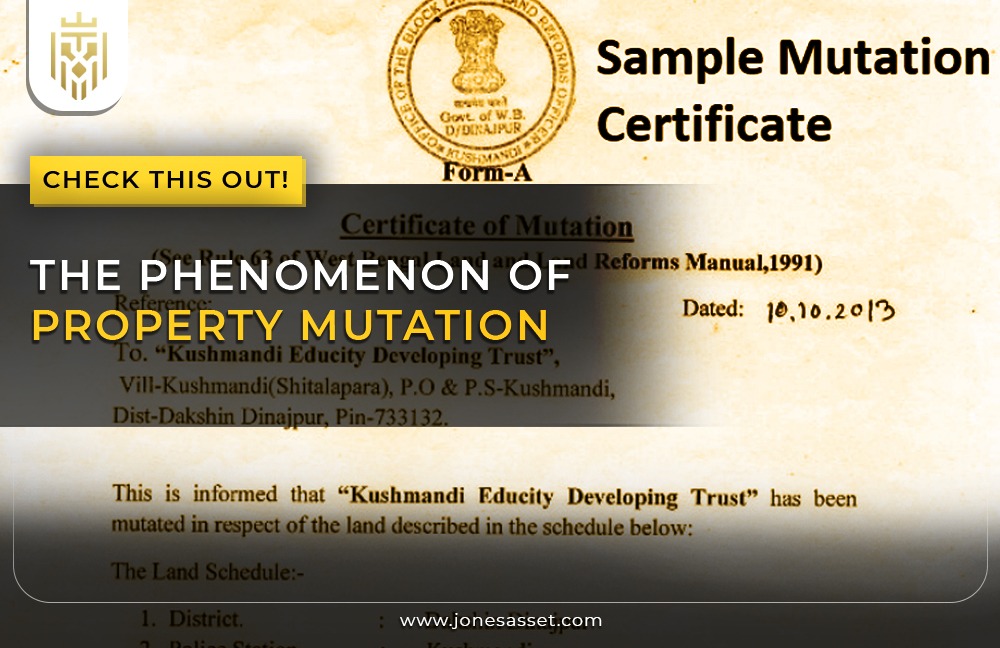 The Phenomenon of Property Mutation | JAM