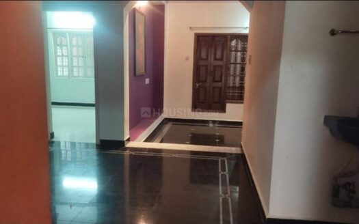 WhatsApp Image 2024-06-19 at 2.28.02 PM