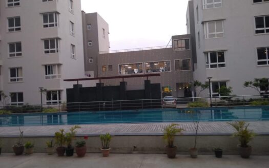WhatsApp Image 2024-08-08 at 5.50.05 PM
