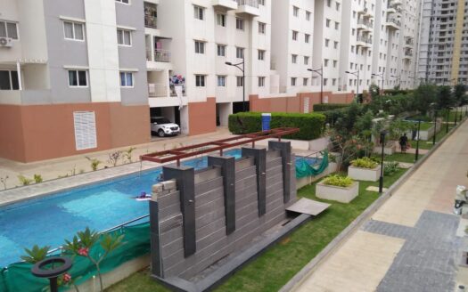 WhatsApp Image 2024-08-08 at 5.50.06 PM (1)