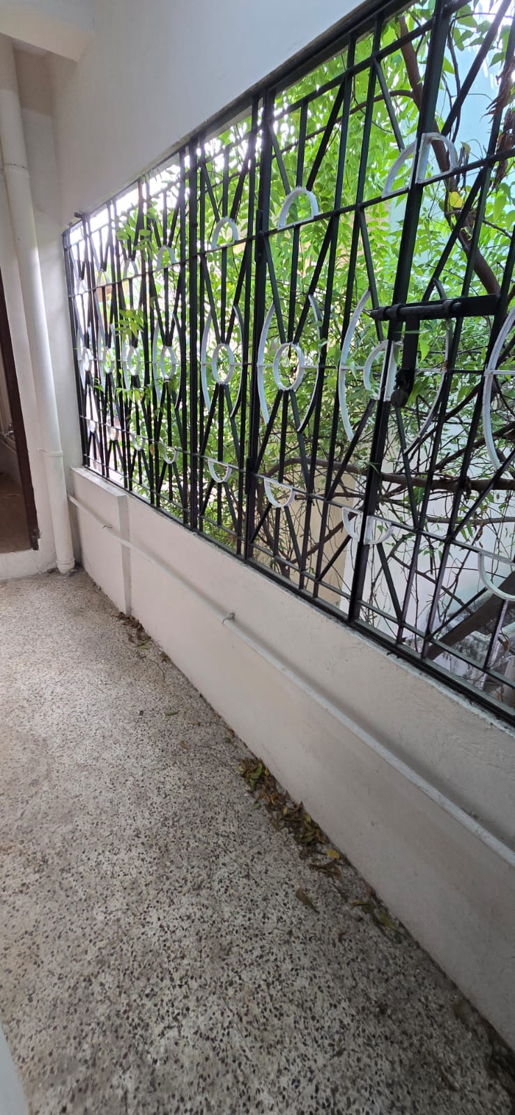 WhatsApp Image 2025-10-05 at 17.16.43_13b20305