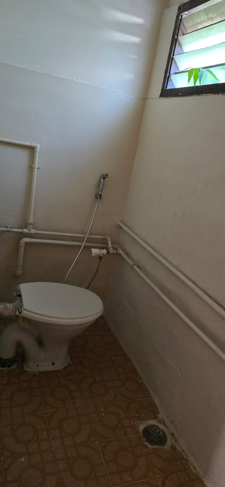 WhatsApp Image 2025-10-05 at 17.16.45_7e69c894