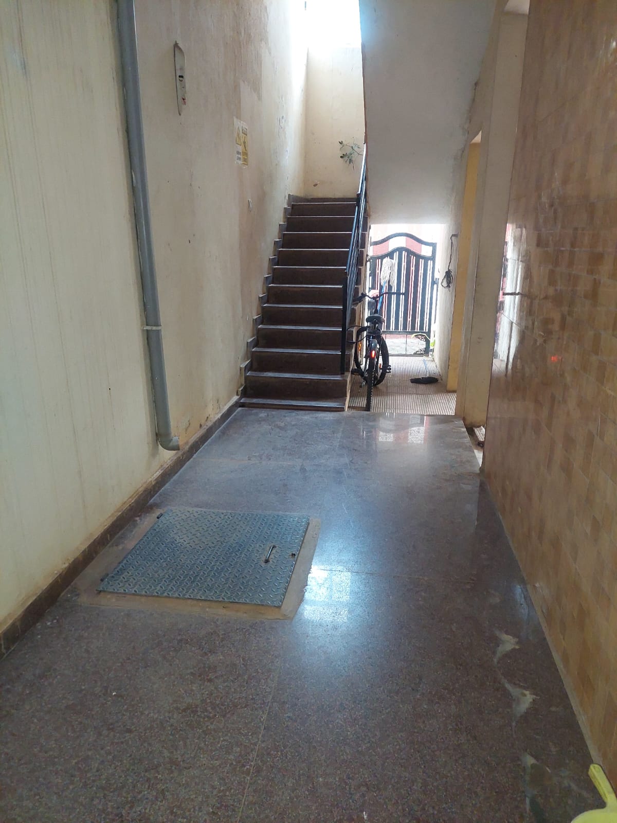 WhatsApp Image 2025-10-17 at 17.07.27_cd86dc0a