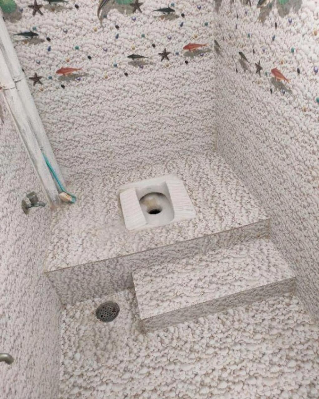 WhatsApp Image 2025-10-30 at 8.54.29 PM