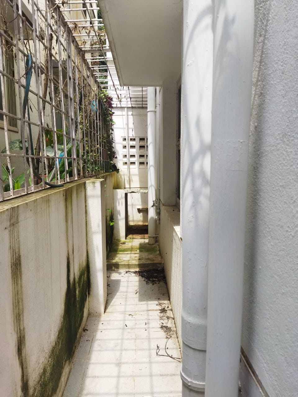 WhatsApp Image 2025-10-31 at 14.20.47_5c982a54