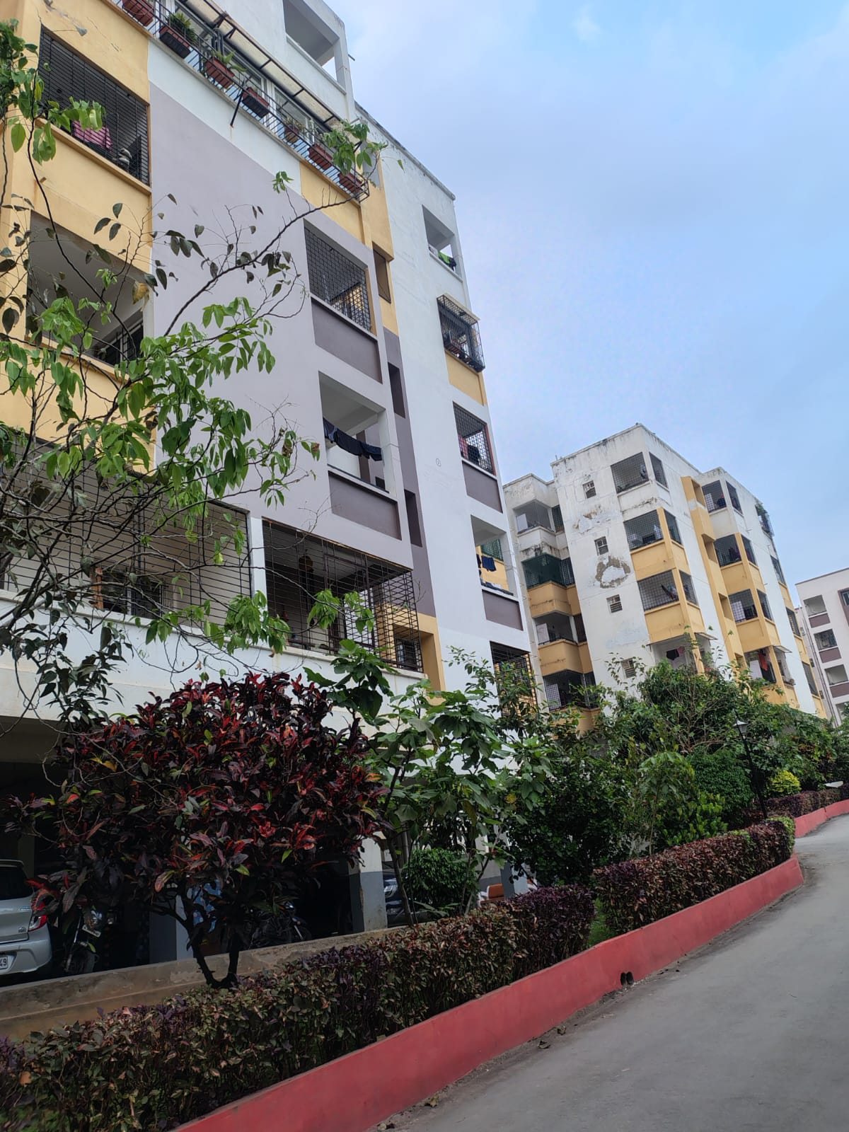 WhatsApp Image 2025-11-11 at 18.05.49_0c429b4e