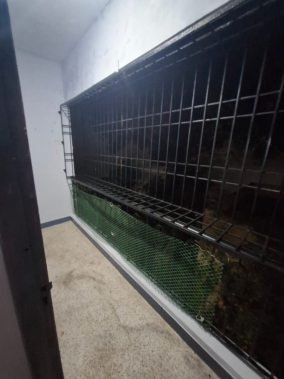 WhatsApp Image 2025-12-06 at 21.54.55_f9ef3297