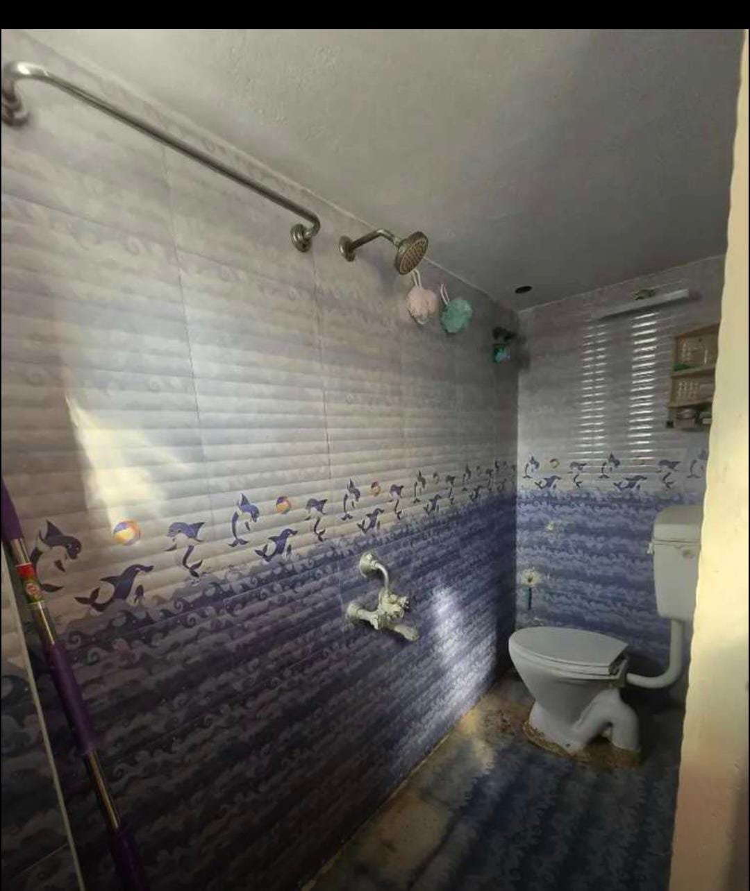 WhatsApp Image 2026-01-30 at 21.29.48